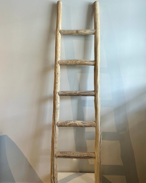 Ivy Ladder